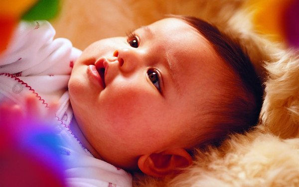 bebe